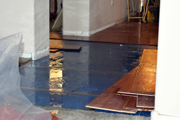 Professional Flood Cleanup technician working in Trafalgar, IN